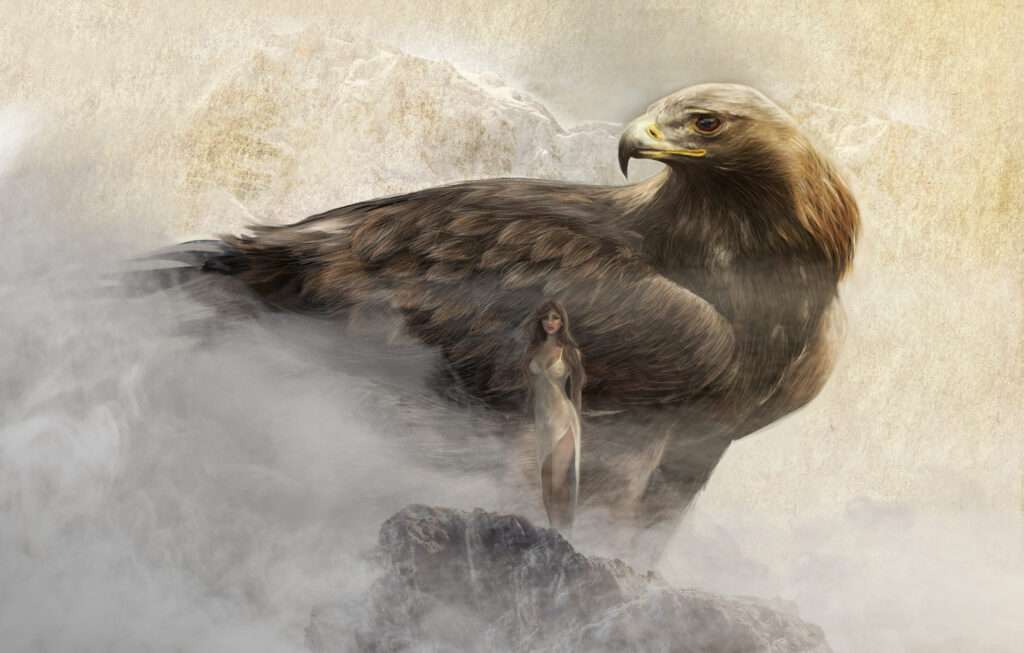 aquila